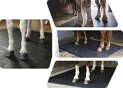 Horse Stall Mats